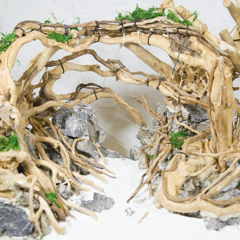 Aquarium Planted Wood - Legno N1N per Terrario Rettili, Decorazione