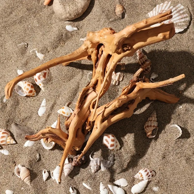 Aquarium Planted Wood - 7-26 CM 4 Dimensioni Legno Driftwood