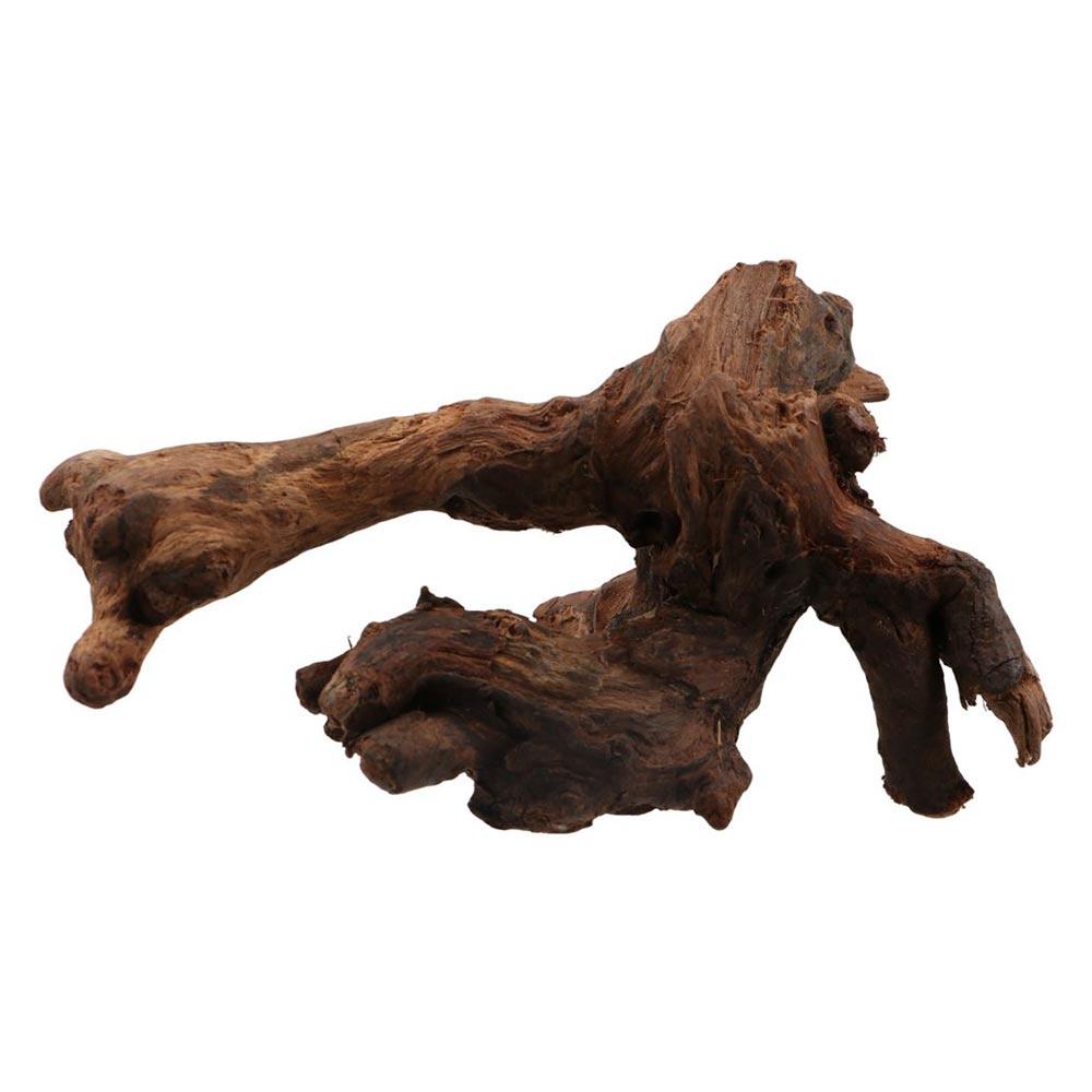 Aquarium Planted Wood - Radici di Pino Naturale a Forma