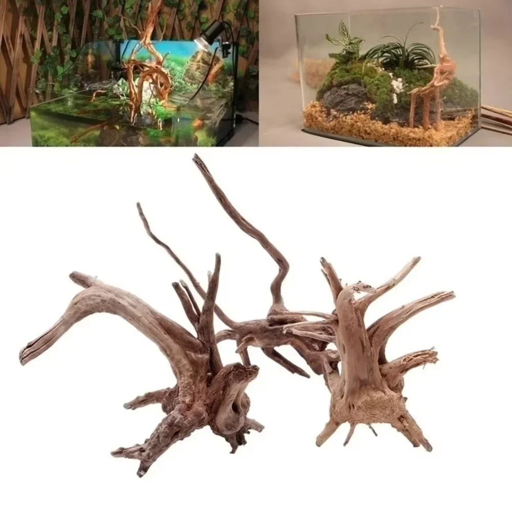 Aquarium Planted Wood - Legno Naturale per Acquario 15-20CM -