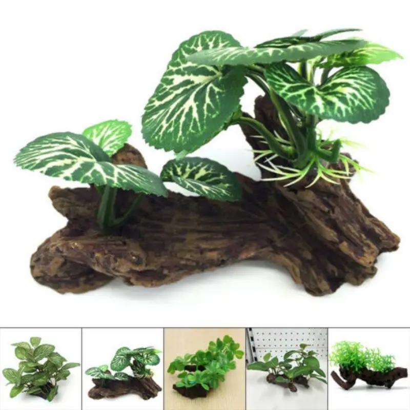 Tronco di albero di tartaruga  - Aquarium Planted Wood recensione e prezzo