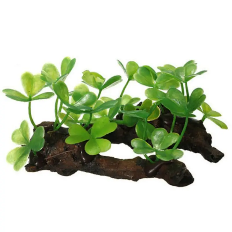 Tronco di albero di tartaruga  - Aquarium Planted Wood recensione e prezzo