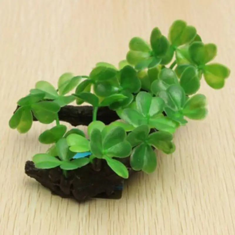 Tronco di albero di tartaruga  - Aquarium Planted Wood recensione e prezzo
