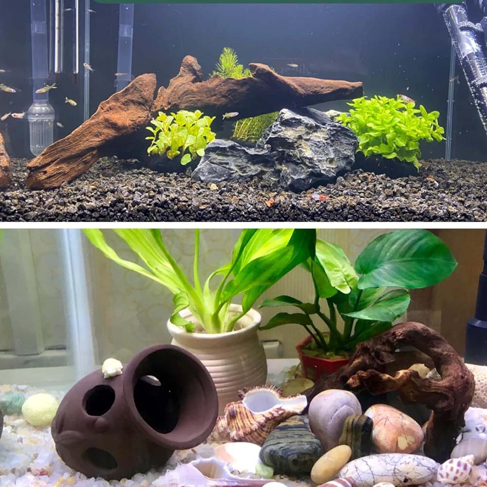 3 pezzi ﻿ Set di legni alla de - Aquarium Planted Wood recensione e prezzo