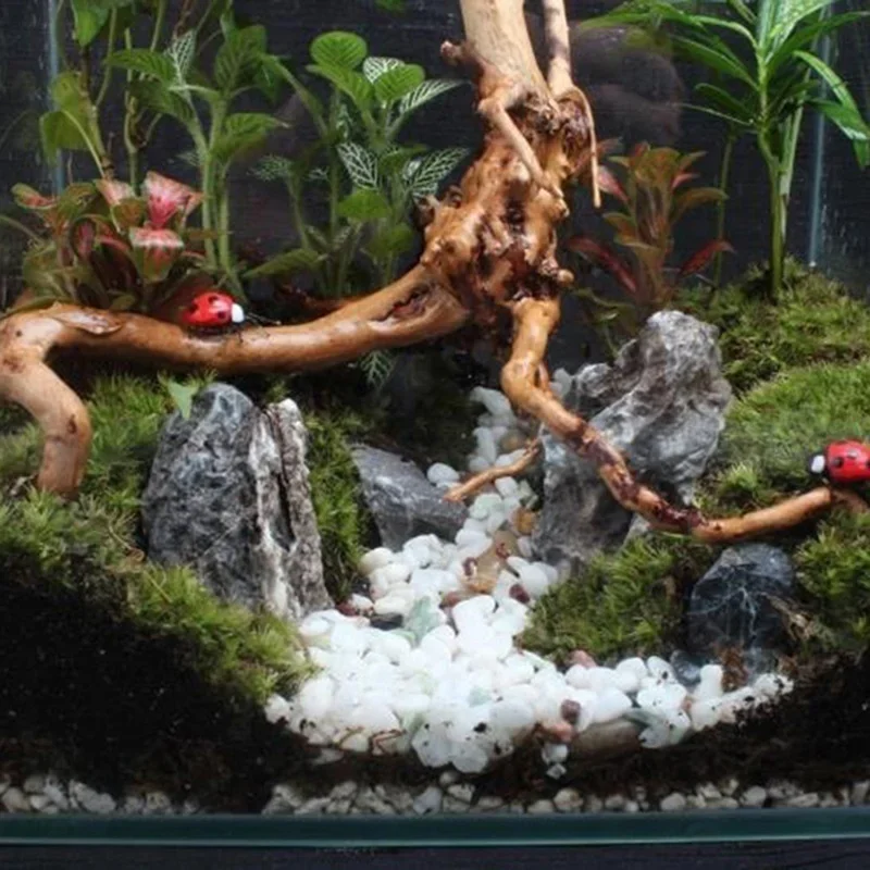 Tronco d'albero naturale Drift - Aquarium Planted Wood recensione e prezzo