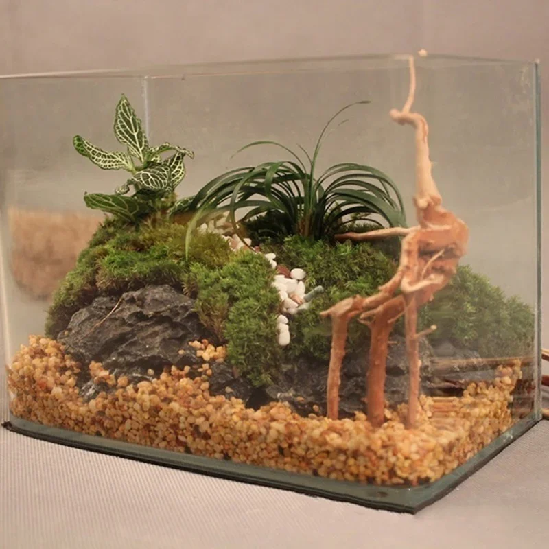 Tronco d'albero naturale Drift - Aquarium Planted Wood recensione e prezzo