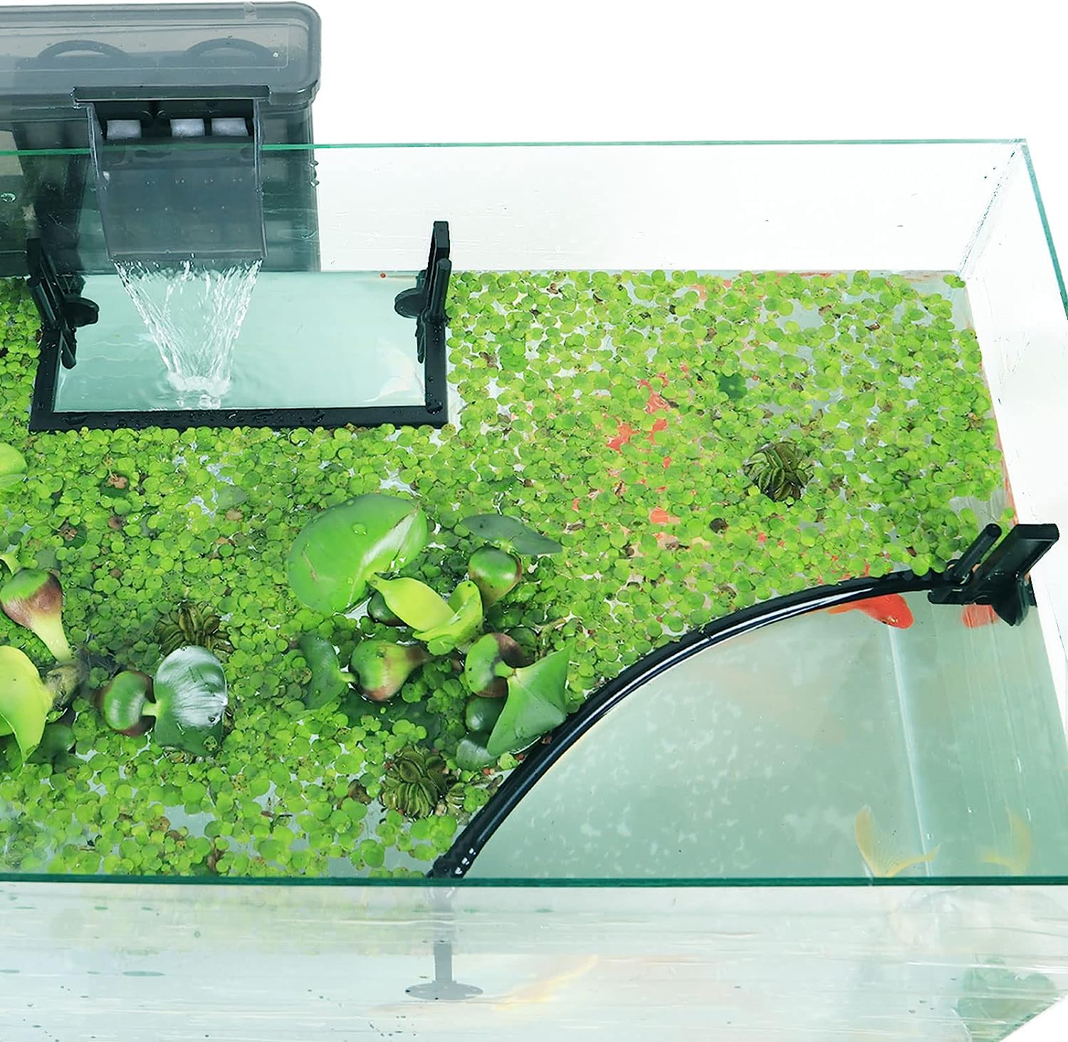 Corallo per piante galleggiant - Planted Aquarium Heater recensione e prezzo