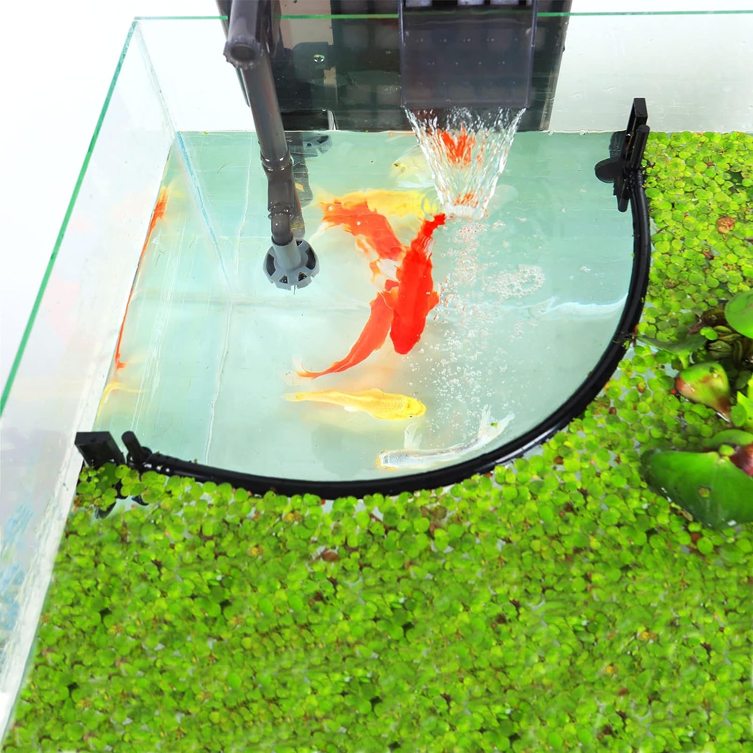 Corallo per piante galleggiant - Planted Aquarium Heater recensione e prezzo