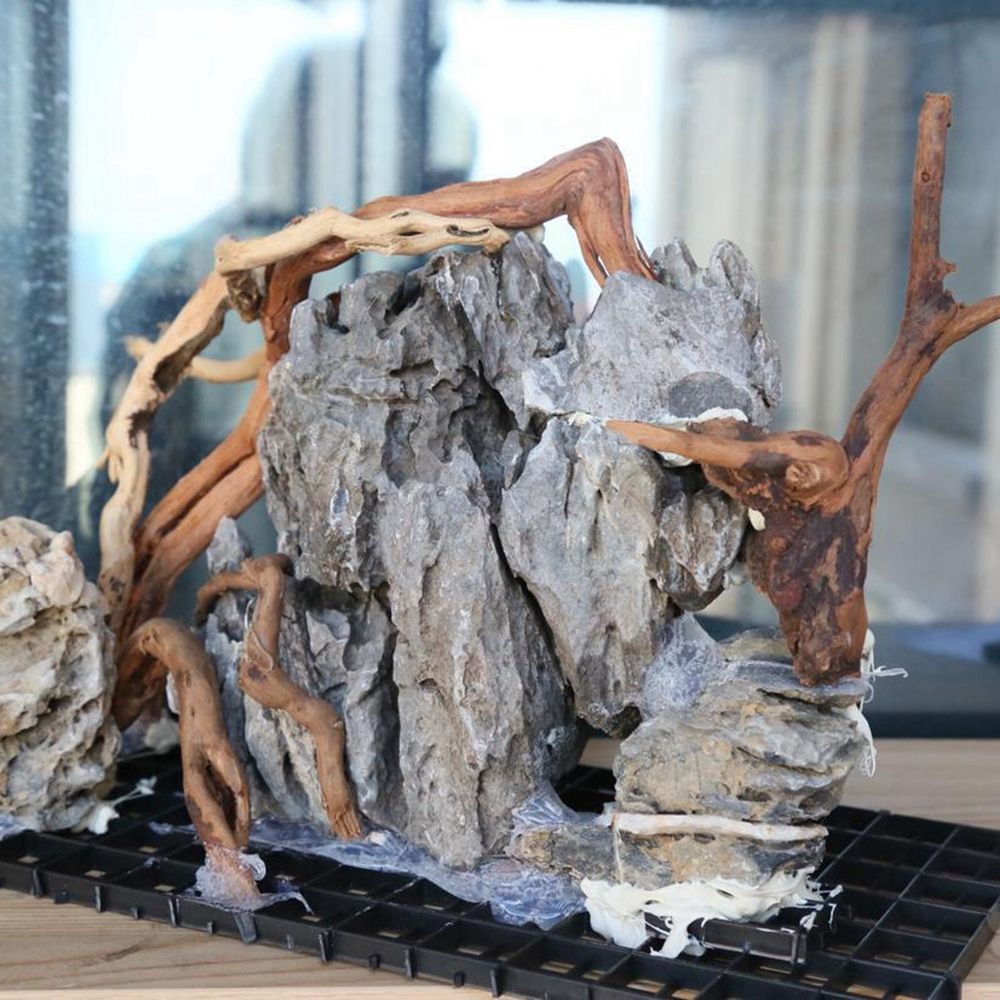 Legno N1N per Terrario Rettili - Aquarium Planted Wood recensione e prezzo