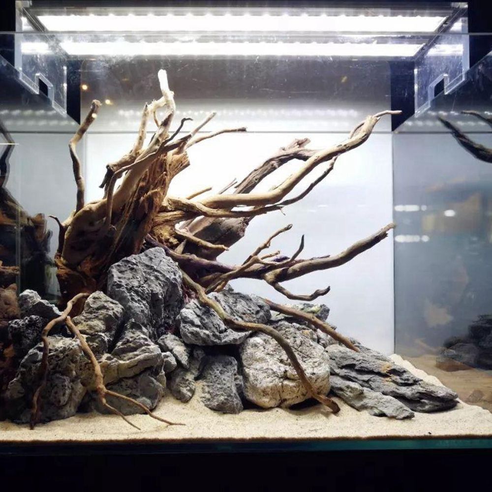 Legno N1N per Terrario Rettili - Aquarium Planted Wood recensione e prezzo