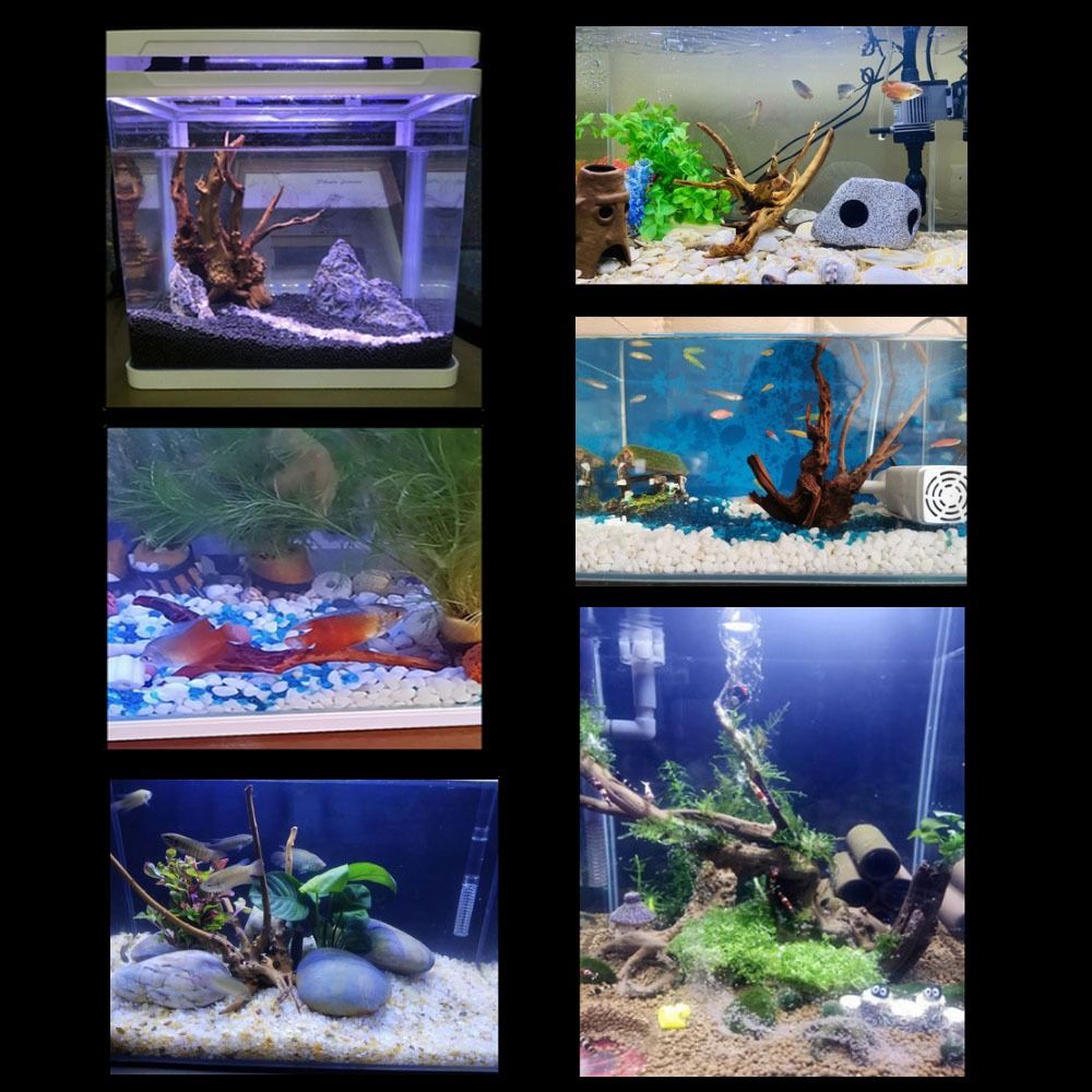 Legno Naturale per Acquario 20 - Aquarium Planted Wood recensione e prezzo
