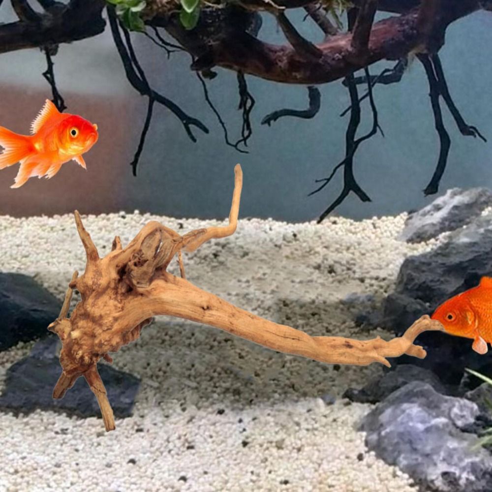Legno Naturale per Acquario 20 - Aquarium Planted Wood recensione e prezzo