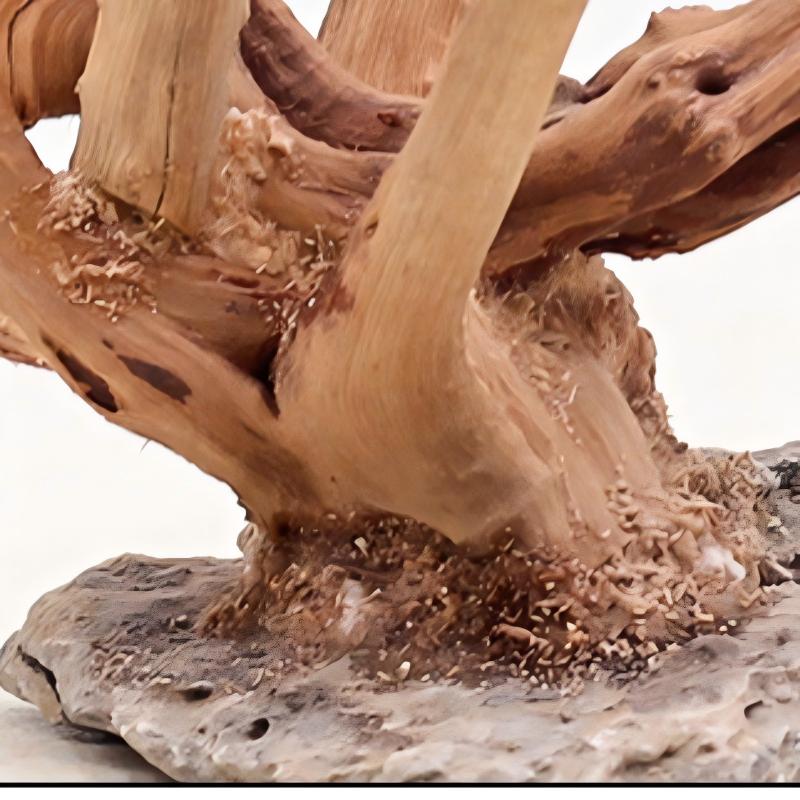 1PC Acquario Paesaggistica Orn - Aquarium Planted Wood recensione e prezzo