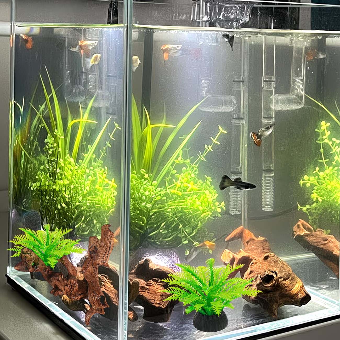 Legno Naturale Affondabile da  - Aquarium Planted Wood recensione e prezzo